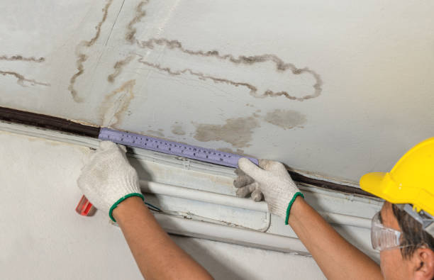 Reliable Burst Pipe Cleanup contractor in Blaine, OH by Water Damage Irwin